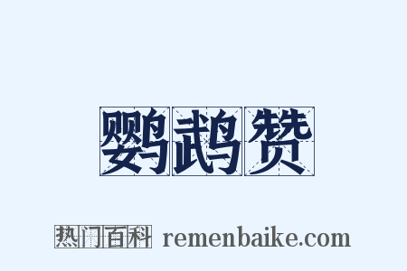 鹦鹉赞是什么意思的图片
